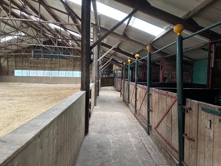 Stalling aangeboden, Dieren en Toebehoren, Stalling en Weidegang, Stalling