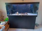 Juwel Rio 450 aquarium, Dieren en Toebehoren, Vissen | Aquaria en Toebehoren, Ophalen of Verzenden, Gebruikt, Leeg aquarium