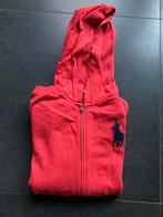 Polo Ralph Lauren hoodie. Maat: S/ rood, Maat 46 (S) of kleiner, Polo Ralph Lauren, Ophalen of Verzenden, Zo goed als nieuw