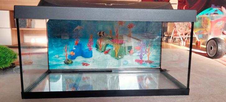 Tetra aquarium, Dieren en Toebehoren, Vissen | Aquaria en Toebehoren, Filter of Co2, Ophalen