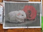 Cavia diamond paint, Hobby en Vrije tijd, -, -, Nieuw, Ophalen of Verzenden