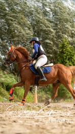 Paarden inrijden/doorrijden, Ruiter of Bijrijder