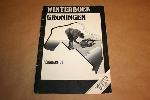 Winterboek Groningen - Februari '79, Boeken, Geschiedenis | Stad en Regio, Zo goed als nieuw, 20e eeuw of later, Ophalen of Verzenden
