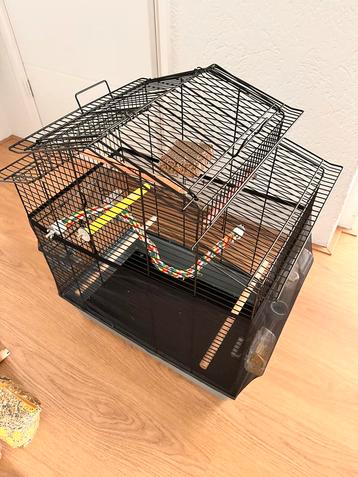 Vogel kooi beschikbaar voor biedingen