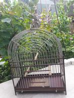 Surinaamse vogel kooi., Dieren en Toebehoren, Vogels | Hokken en Kooien, Ophalen, Gebruikt, Metaal, Vogelkooi