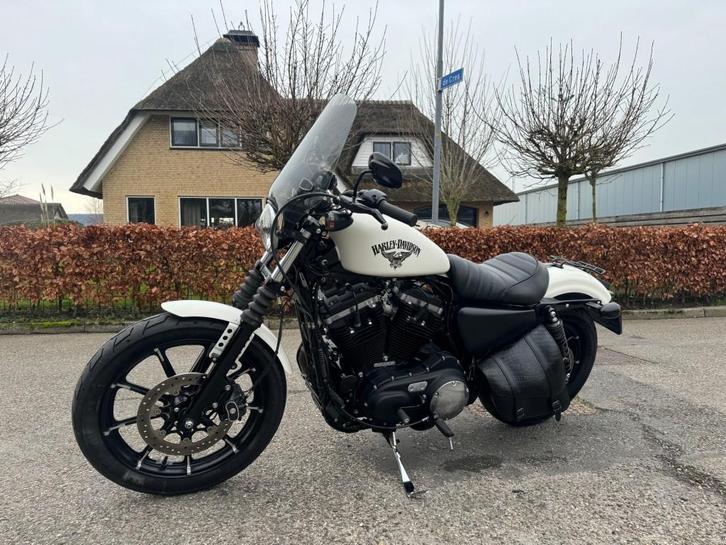 Harley-davidson iron 883 XL sportster, Motoren, Motoren | Harley-Davidson, Bedrijf, Overig