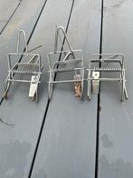 Mollenklemmen, Juni, Mannelijk