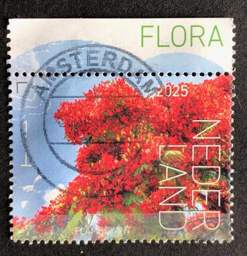Postzegel Nederland 2025 Flora Eustatius Flamboyant beschikbaar voor biedingen