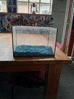 Vissen aquarium met blauw grind., Dieren en Toebehoren, Vissen | Aquaria en Toebehoren, Ophalen