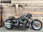 Dikke HARLEY-DAVIDSON VRSCA VROD, 2 cilinders, Bedrijf, Meer dan 35 kW, Overig