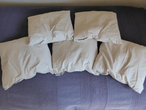 4 Kussentjes BIO, Huis en Inrichting, Woonaccessoires | Kussens, Zo goed als nieuw, Blauw, Vierkant, Ophalen of Verzenden