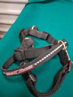 honden tuigjes, Dieren en Toebehoren, Overige Dieren-accessoires, Ophalen of Verzenden
