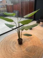 Grote Kunstplant IKEA - 140cm, Huis en Inrichting, Ophalen, Zo goed als nieuw, Binnen