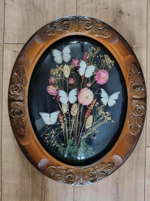 Vlinders in mooie fotolijst, Huis en Inrichting, Woonaccessoires | Droogbloemen, Ophalen of Verzenden
