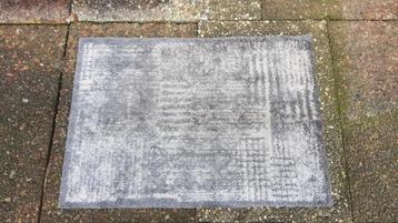 Mooie Deurmat / Droogloopmat / Schoonloopmat / Entreemat beschikbaar voor biedingen