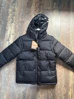 Burberry puffer maat M, Kleding | Heren, Jassen | Winter, Maat 48/50 (M), Zwart, Nieuw, Ophalen of Verzenden