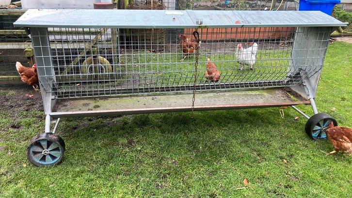 Hooiruif merk VENO voor schapen geiten pony’s ezels alpaca, Dieren en Toebehoren, Stalling en Weidegang