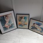 3 schilderijen van monique van zwieten, Antiek en Kunst, Ophalen