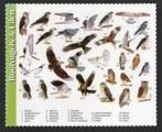 Roofvogels Uilen Buizerd Sperwer Wouw Kerkuil Bosuil Oehoe., Verzamelen, Ophalen of Verzenden, 1980 tot heden, Ongelopen, Vogel