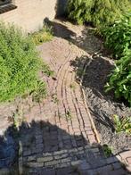 Gratis klinkers (geeltjes en overige), Tuin en Terras, Ophalen