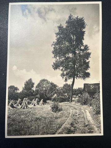 Briefkaart ongebruikt Geuzendam 287 e: Heeze beschikbaar voor biedingen