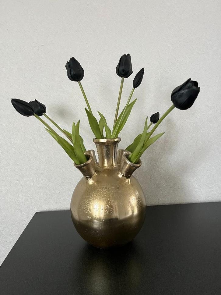 Diga Colmore vaas Toetervaas / tulpenvaas goud Nieuw!, Huis en Inrichting, Woonaccessoires | Vazen, Nieuw, Overige kleuren, Minder dan 50 cm