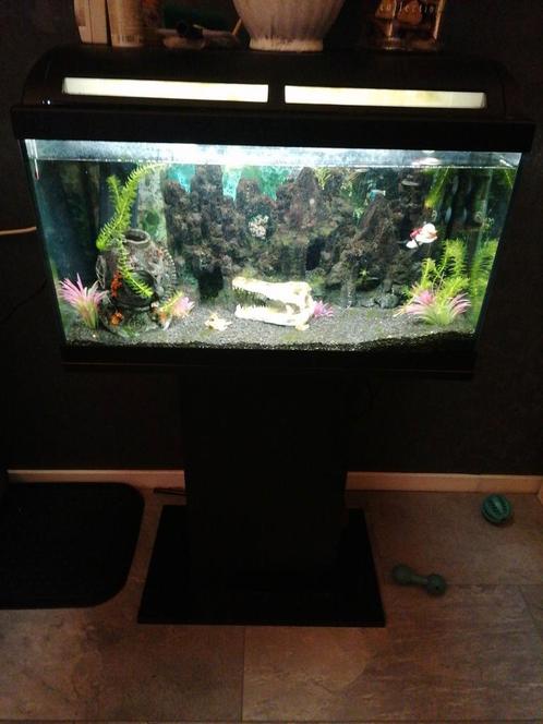 80 l. Aquarium compleet., Dieren en Toebehoren, Vissen | Aquaria en Toebehoren, Gevuld zoetwateraquarium, Ophalen of Verzenden