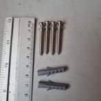 Specia RVS Schroeven met pluggen, Schroeven, Nieuw, Ophalen of Verzenden, Minder dan 50 mm