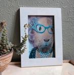 Takkoda/Dame Edna cavia foto in lijstje, Ophalen of Verzenden
