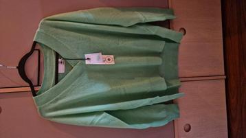 Cashmere beschikbaar voor biedingen