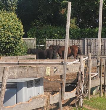 Gezocht zand om paddocks op te hogen in vleuten beschikbaar voor biedingen