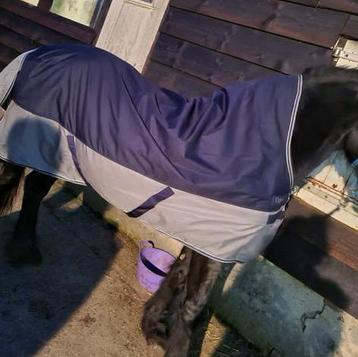 Equi theme deken 300 gram 195cm beschikbaar voor biedingen