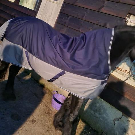 Equi theme deken 300 gram 195cm, Dieren en Toebehoren, Paarden en Pony's | Dekens en Dekjes, Gebruikt, Deken, Ophalen of Verzenden