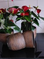 4 bloempotten voor binnen als nieuw, Rond, Binnen, Ophalen of Verzenden, Zo goed als nieuw