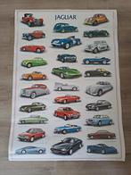 Mooie nieuwe poster met 29 oldtimers/automodellen Jaguar., Nieuw, Ophalen of Verzenden, Rechthoekig Staand