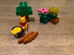 Lego duplo winnie the pooh 5945, Kinderen en Baby's, Speelgoed | Duplo en Lego, Complete set, Duplo, Gebruikt, Ophalen of Verzenden