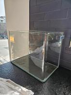 Aquarium met gebogen glas, Dieren en Toebehoren, Vissen | Aquaria en Toebehoren, Ophalen
