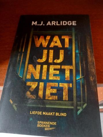 M.J. Arlidge - Wat jij niet ziet beschikbaar voor biedingen