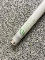 4x TL lamp 150cm warm wit licht, Huis en Inrichting, Lampen | Losse lampen, Ophalen, Gebruikt, 60 watt of meer, Overige typen