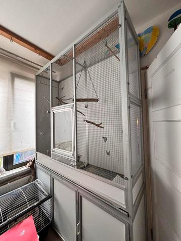 Vogelkooi beschikbaar voor biedingen