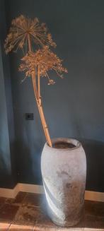 Grote stenen pot vaas met gedroogde berenklauw, Ophalen, Steen, Gebruikt, Overige kleuren