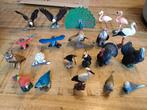 Schleich vogels, gier, uil, adelaars, papegaai, flamingo, Verzamelen, Ophalen of Verzenden, Zo goed als nieuw, Paard, Beeldje of Figuurtje