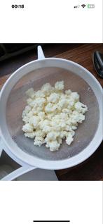 Melk kefir, Diversen, Ophalen of Verzenden