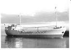 VIJGENDAM scheepvaart kustvaart kustvaarder coaster, Verzenden, Zo goed als nieuw, Kaart, Foto of Prent