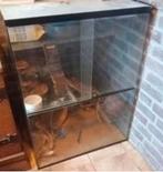 HOOG model Terrarium Glazen bak kooi hok 60 x 80 terrarium, Ophalen, Gebruikt, Terrarium of Paludarium