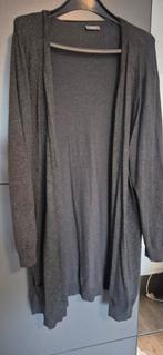 Donkergrijze vest met knoopjes - Maat XL, Ophalen, Zo goed als nieuw, Maat 46/48 (XL) of groter, Grijs