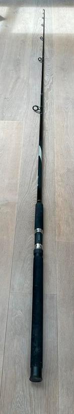 Ron Thompson Superior Spin 11 ft 3.30 m 50-100 g zeehengel, Ophalen of Verzenden, Gebruikt, Werphengel