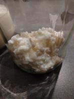 Kefir, melk kefir, Diversen, Levensmiddelen, Ophalen