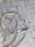 Zware sterke 4m Spanband (50 mm) met 2 spitshaken, Ophalen of Verzenden, Gebruikt, Handmatig