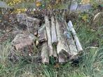 Gratis brandhout, Tuin en Terras, Haardhout, Minder dan 3 m³, Ophalen, Overige houtsoorten